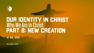 New Life from Above - Transforming Through Christ's Renewal
