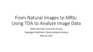 From Natural Images to MRIs: Using TDA to Analyze Image Data