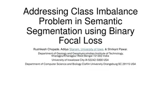 Addressing Class Imbalance Problem in Semantic Segmentation using Binary Focal Loss