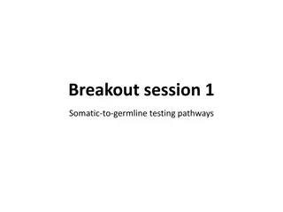 Somatic-to-germline Testing Pathways in Breakout Session 1