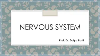The Nervous System