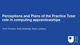Practice Tutor Role in Computing Apprenticeships: Perceptions & Plans