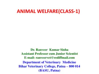 Animal Welfare and Society: Promoting Respect and Justice