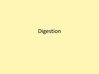 Digestion
