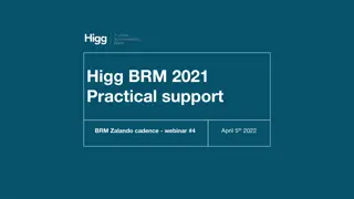 Higg BRM 2021 Practical support