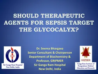 SHOULD THERAPEUTIC AGENTS FOR SEPSIS TARGET THE GLYCOCALYX?