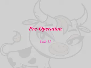 Bovine Pre-Operation Lab and Instruments