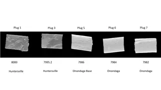 Geological Plugs Exploration in Huntersville and Marcellus Regions