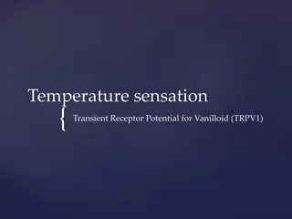 Temperature sensation
