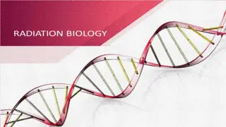 History of Radiation Discoveries