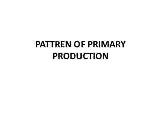 PRODUCTION