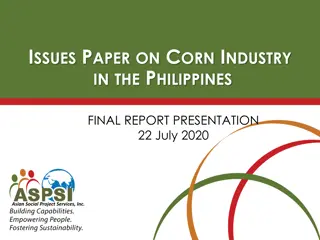 ISSUES PAPER ON CORN INDUSTRY IN THE PHILIPPINES