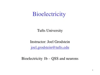 Bioelectricity