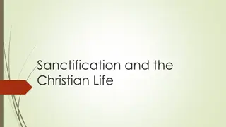 The Journey of Sanctification in the Christian Life