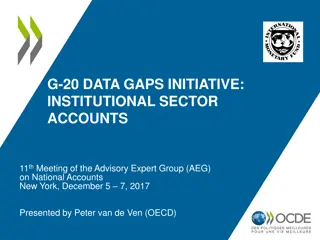 G-20 Data Gaps Initiative in Institutional Sector Accounts