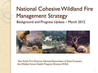 Cohesive Wildland Fire Management: National Strategy Overview