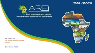 De-risking for Private Sector Investments in Renewable Energy