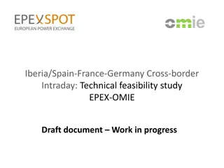 France-Germany Cross-Border Intraday Feasibility Study
