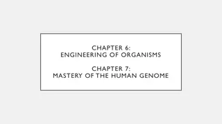 Engineering of Organisms and Mastery of the Human Genome
