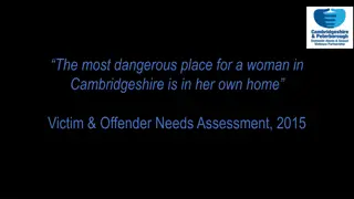 Challenges in Domestic Abuse Support Systems