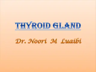 Thyroid Gland Function and Hormones