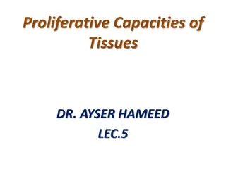 Proliferative Capacities of Tissues Overview