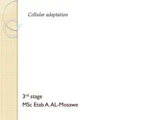 Cellular Adaptation: Types and Examples