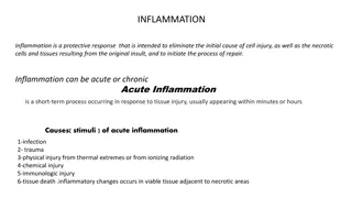Acute Inflammation Process