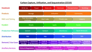 Carbon Capture, Utilization, and Sequestration (CCUS) Initiatives