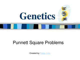 Genetics Punnett Square Problems with Mice, Aliens, and Plants