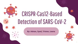 CRISPR-Cas12-Based Detection of SARS-CoV-2 Overview