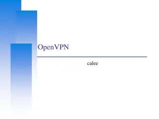 Configuring OpenVPN for Secure Network Connectivity