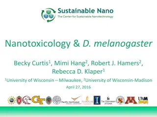 Nanotoxicology and D. melanogaster Research Overview