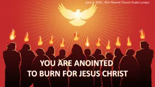 Pentecost Day Reflections: Unity, Manifestations, and Promises