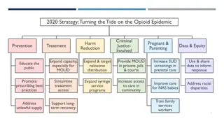 2020 Strategy for Opioid Epidemic Response