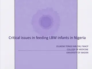Investment Opportunities in Nigeria: Economic Potential & Population Trends