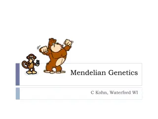 Mendelian Genetics: Traits Inheritance