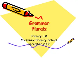 Grammar Basics for Primary Students
