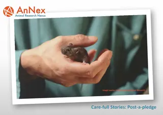 Promoting a Ethical Animal Research Culture