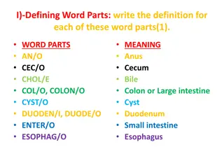 Medical Word Parts Definitions