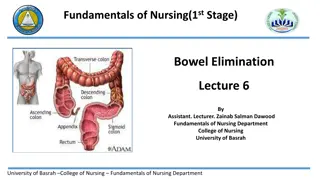 Bowel Elimination  Lecture 6