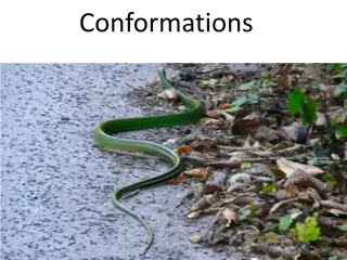 Conformations and Cycloalkanes