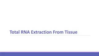 Total RNA Extraction From Tissue