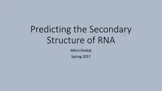 Genetic Information Transfer: Transcription Process Explained