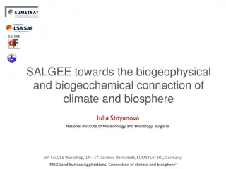 SALGEE - Biogeophysical and Biogeochemical Connection of Climate and Biosphere