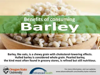Benefits of Consuming Barley: Nutritious and Delicious Grain