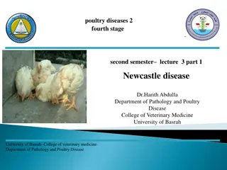 Newcastle disease