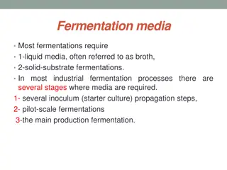 Fermentation media