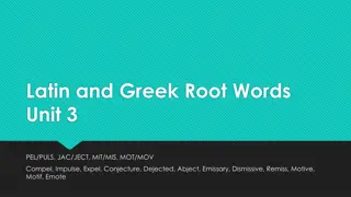 Latin and Greek Roots: Unit 3 Vocabulary Study