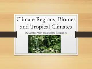 Climate Regions, Biomes, and Tropical Climates: Overview